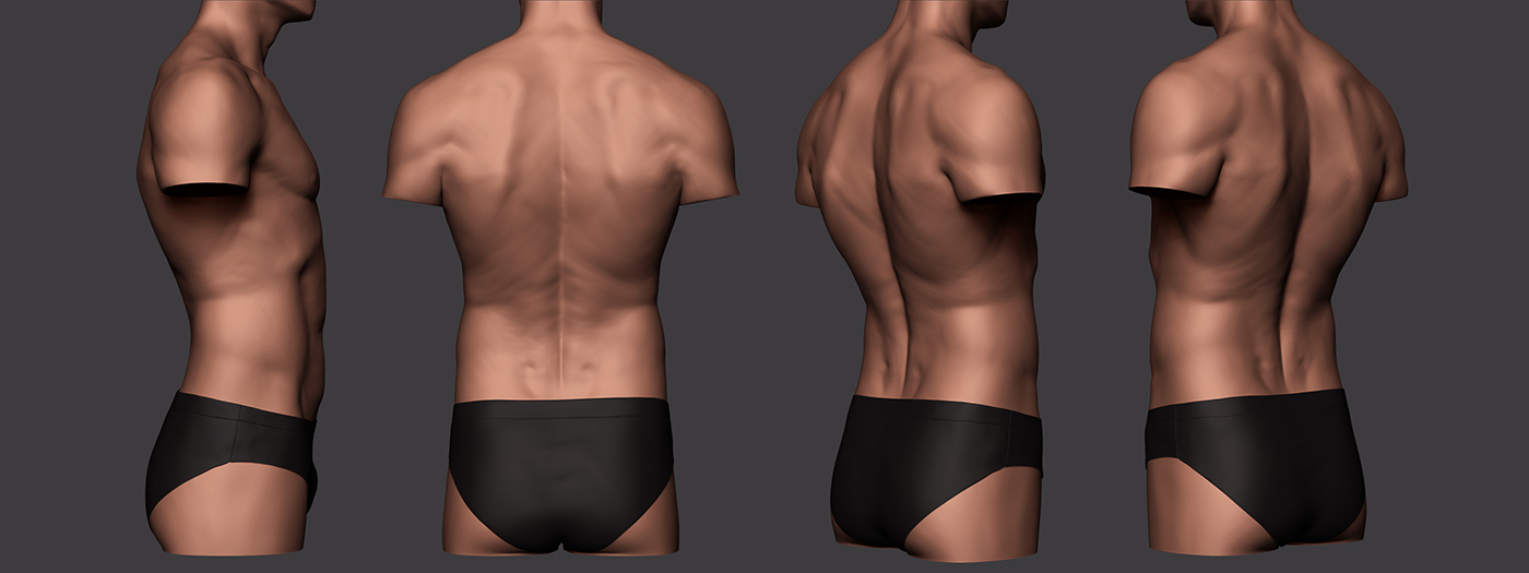 Marco nogueira study Torso man male normal natural soft 3D Zbrush