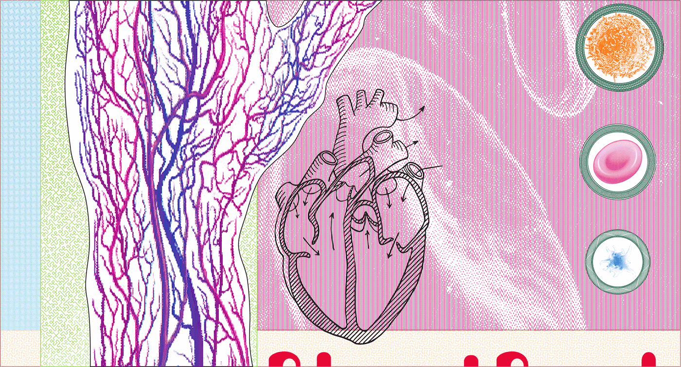 Banknote fractals guilloche stcurity features vector Банкнота вектор гильош защитные признаки фракталы