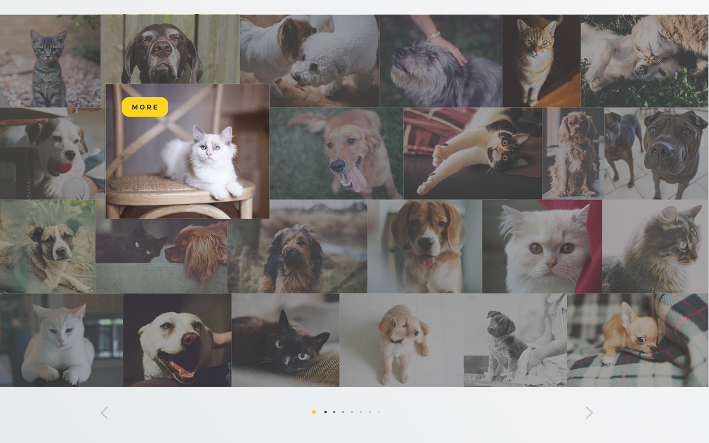 Web UI ux Cat dog help site Layout house big