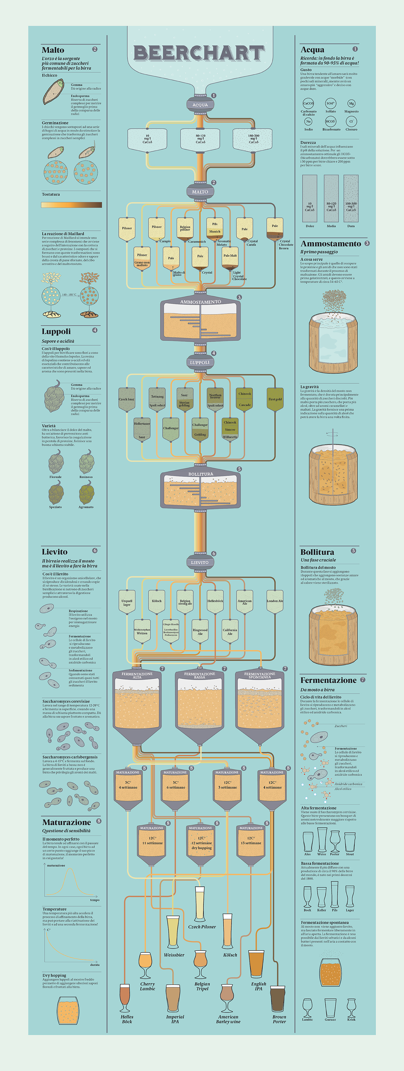 infographics flowchart beerchart information design beer beer magazine