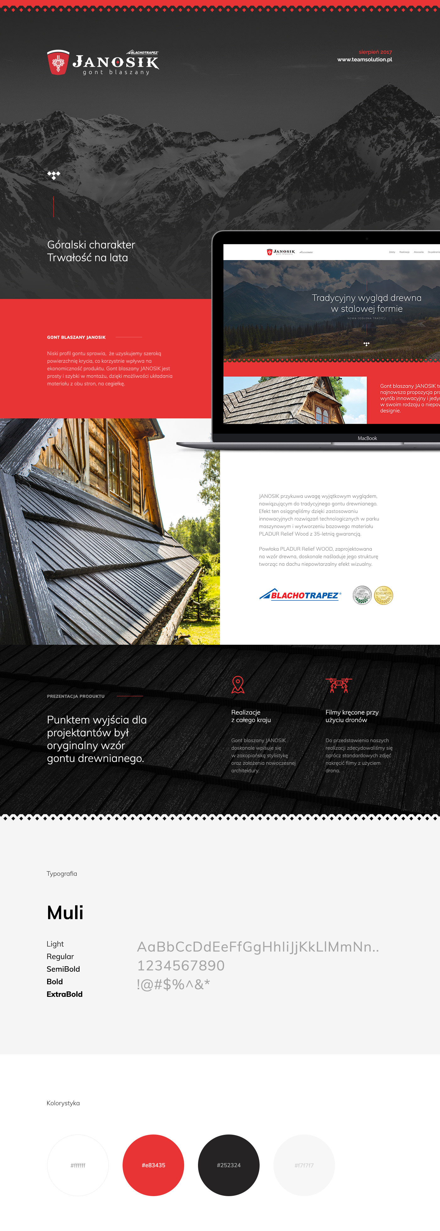 roofing shingles house Janosik wooden tin TEAM SOLUTION UI Web Design  Website