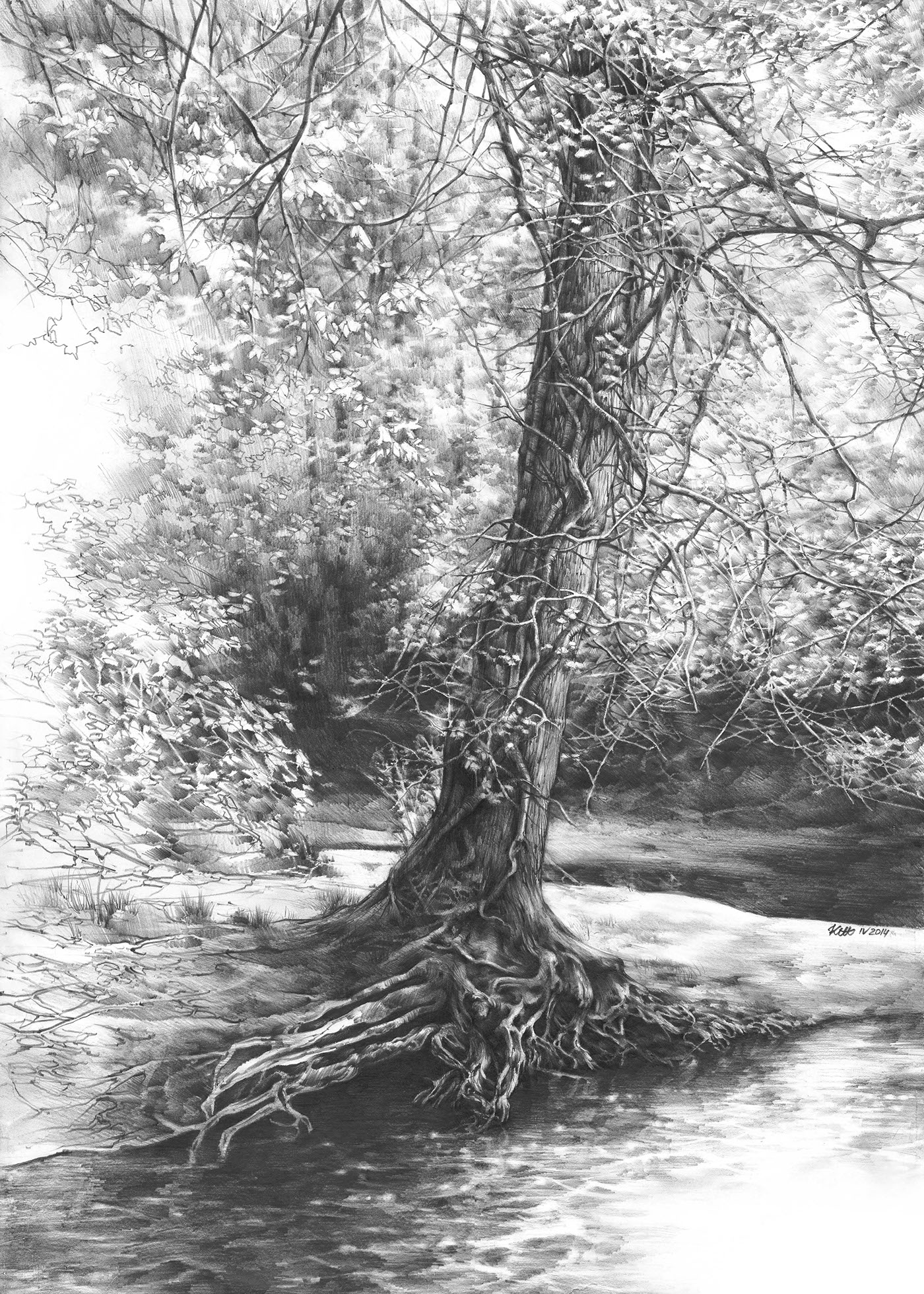 How to draw a realistic river Step1-Step 8 and shade it too | Landscape  drawings, River drawing, Realistic drawings