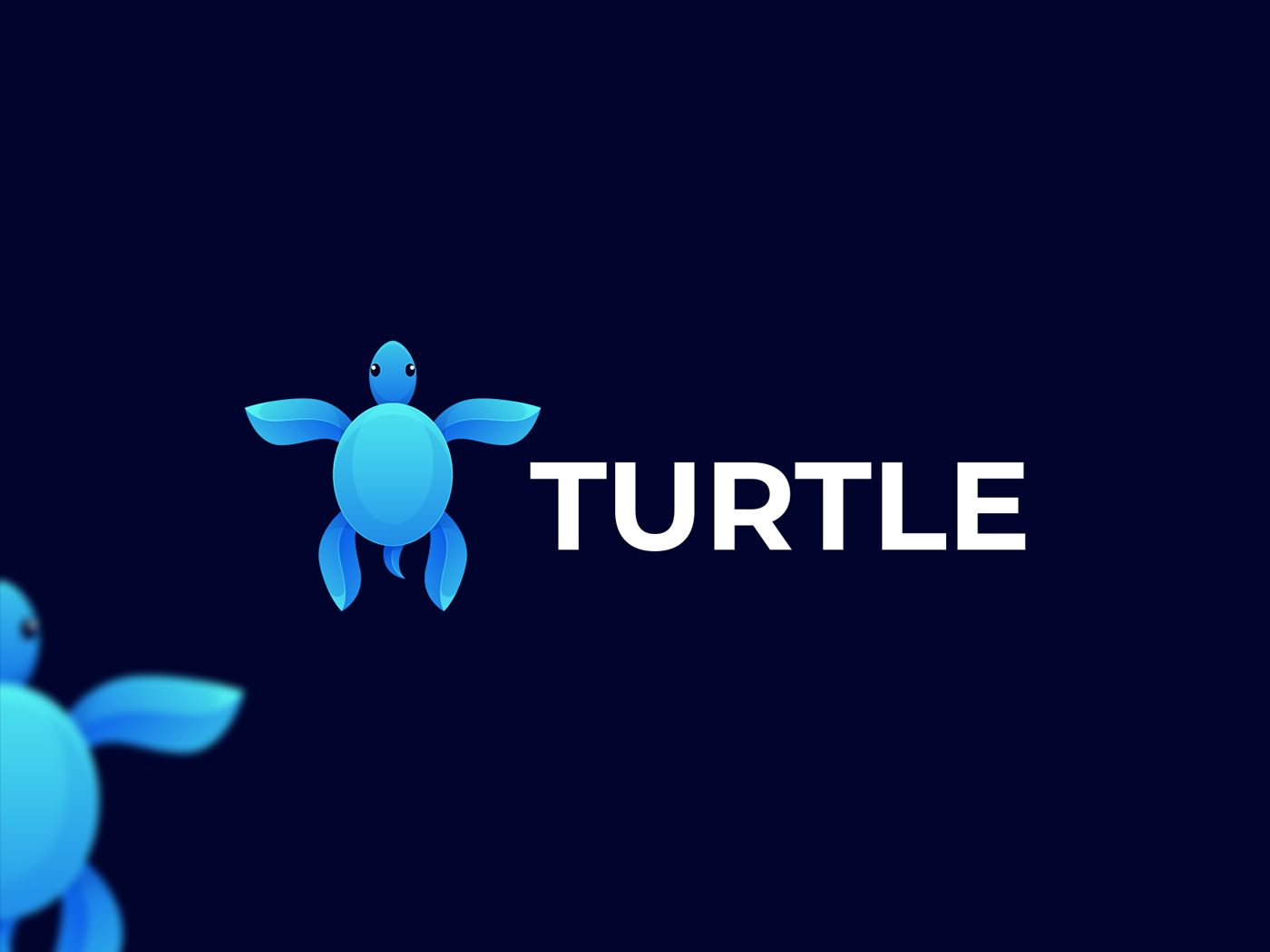 turtle logo animal logo branding  brand identity Graphic Designer design visual identity Turtle coloring turtle design graphic turtle icon 