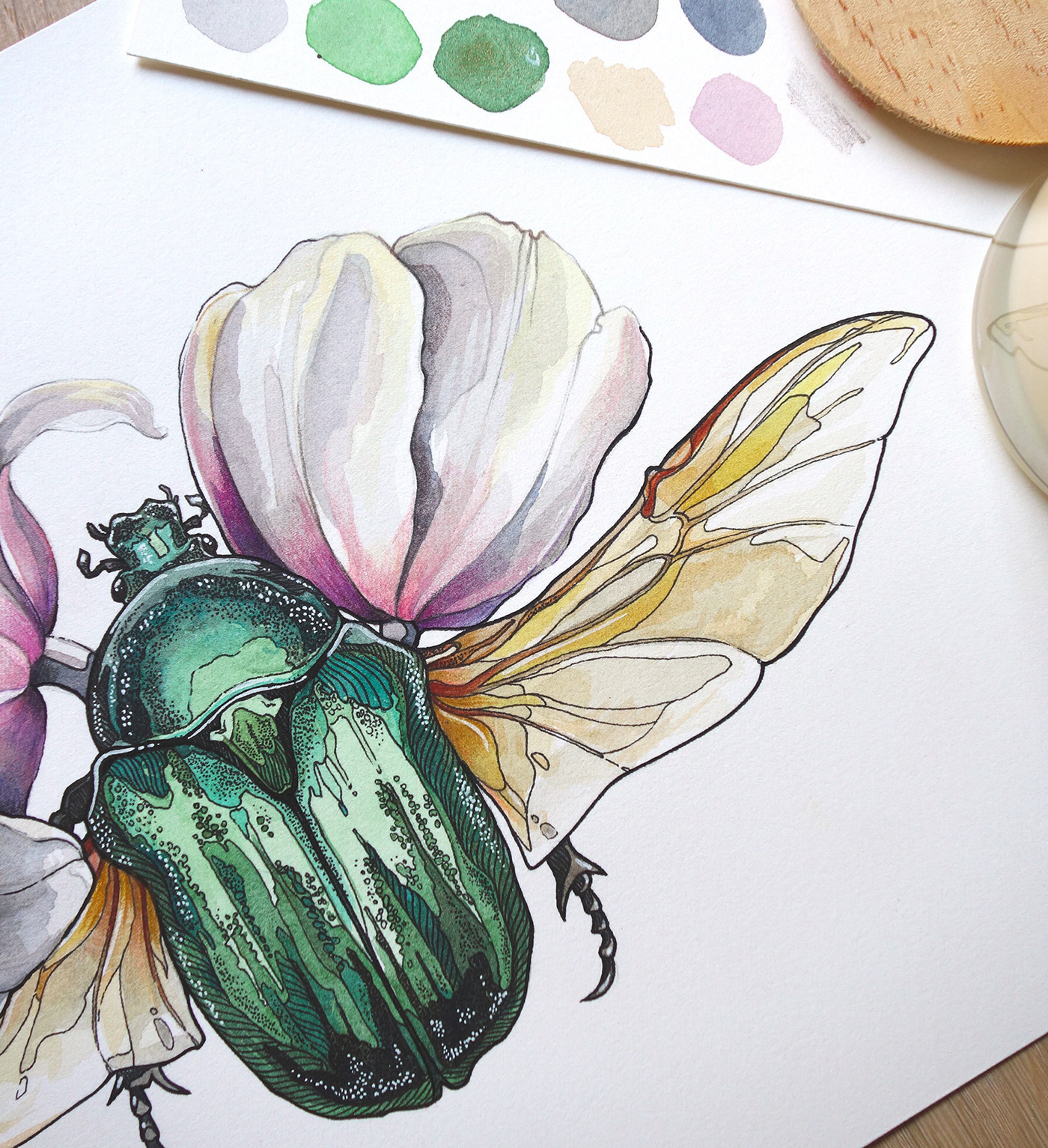 artwork beetle bug Drawing  Drawing Illustration Flowers ink insect Nature watercolor