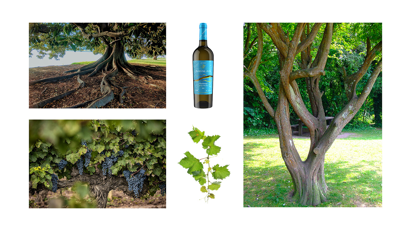 wine product Keyvisual visual graphic grape print bottle manipulation photoshop
