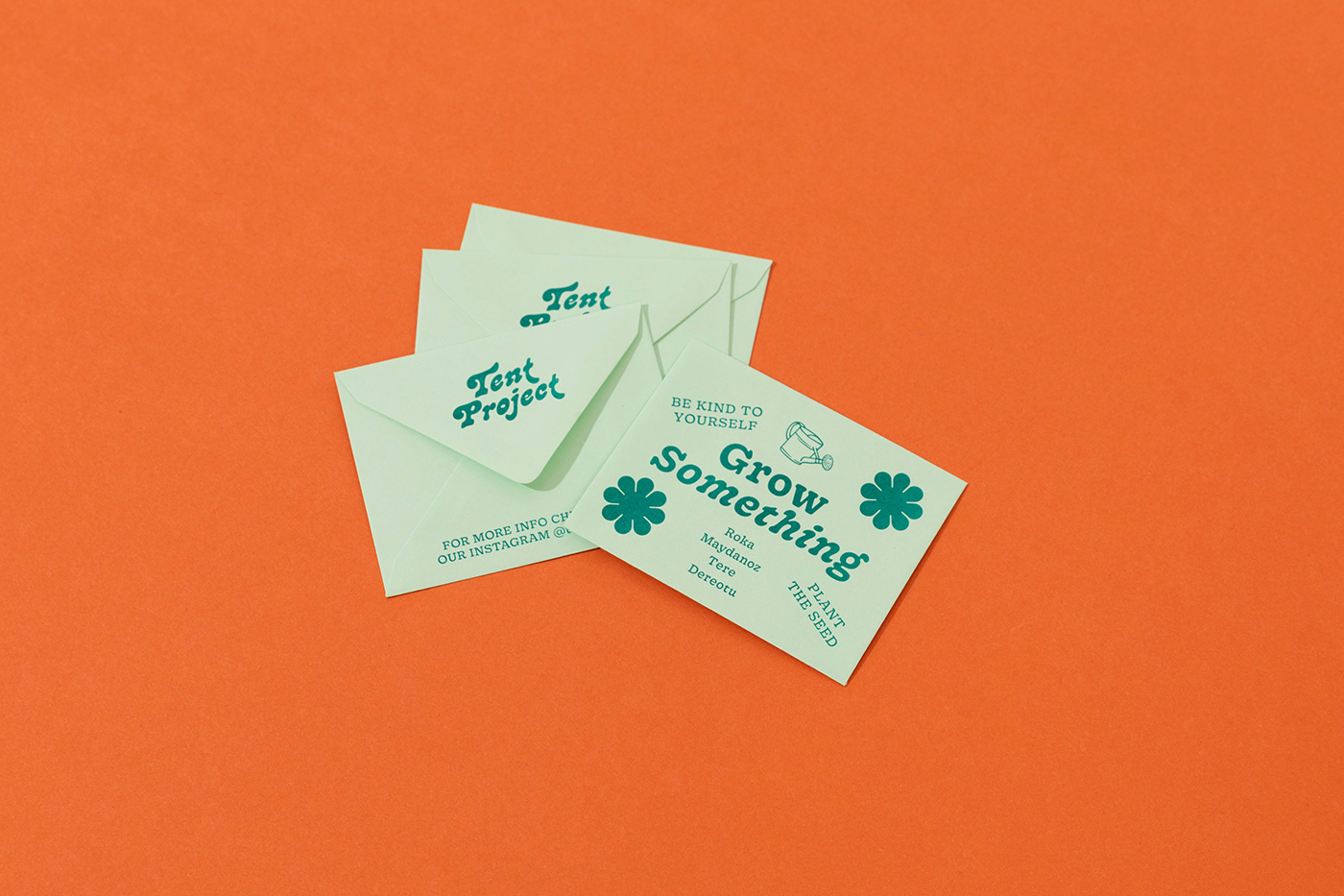 branding  color Ecology Fashion  Packaging recycle slowfashion Sustainability vintage visual identity