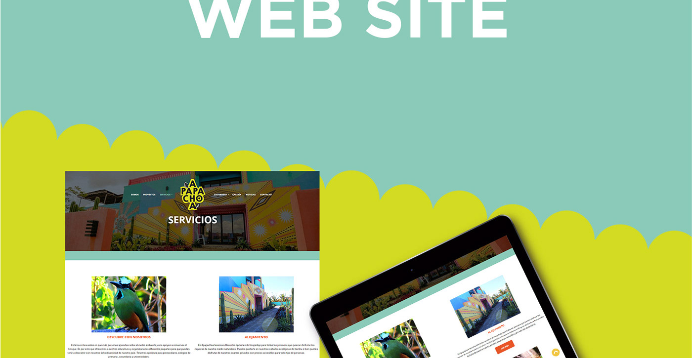 art direction  Art Director fundation graphic design  nicaragua social Web Web Design  web site