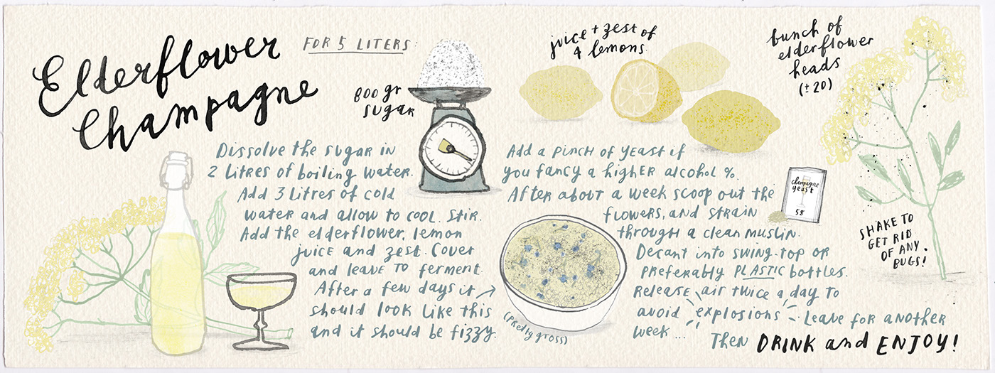 Food  HAND LETTERING handwriting recipe food illustration illustrated recipe ink handdrawn line drawing