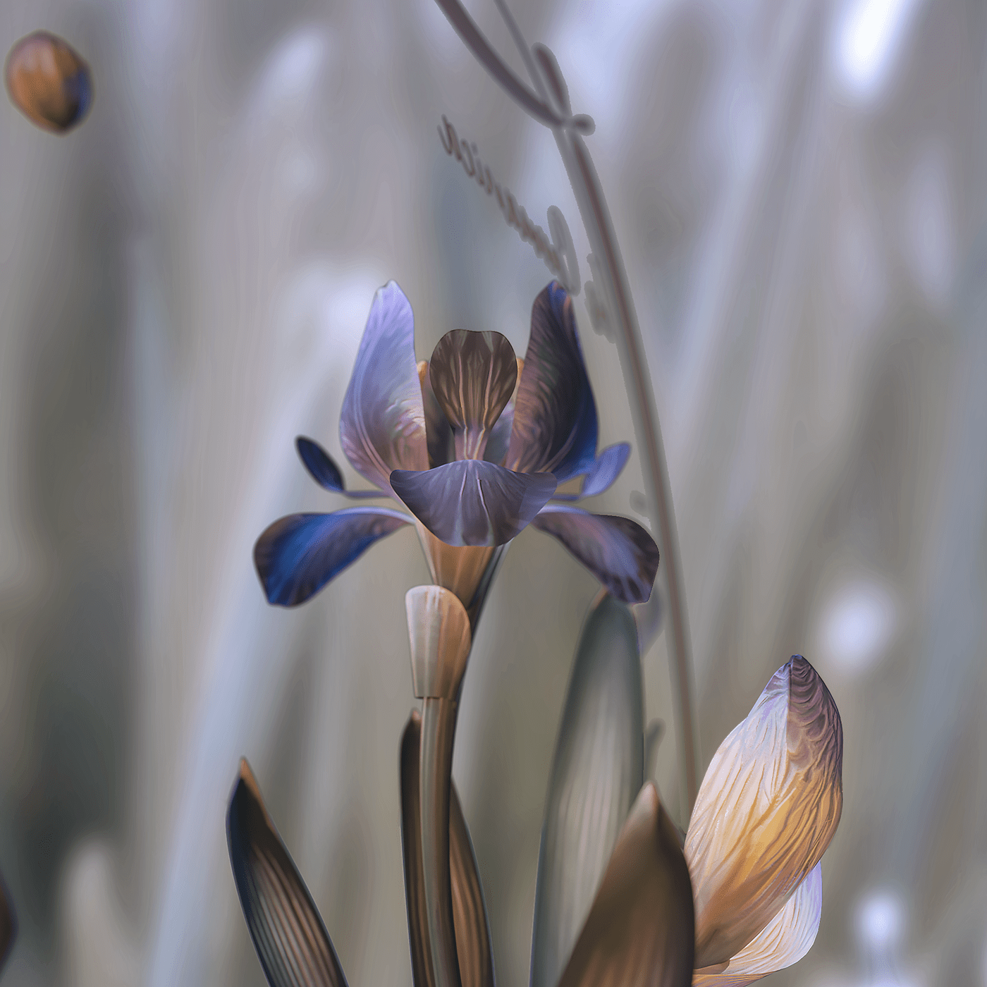 3D model botanical botanical illustration envirenment flower game asset iris iris germanica Low Poly Plant