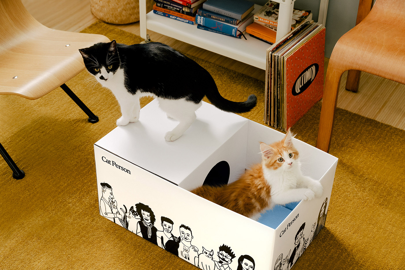 box branding  cats Collateral ILLUSTRATION  industrial design  instructions Packaging shipper pets