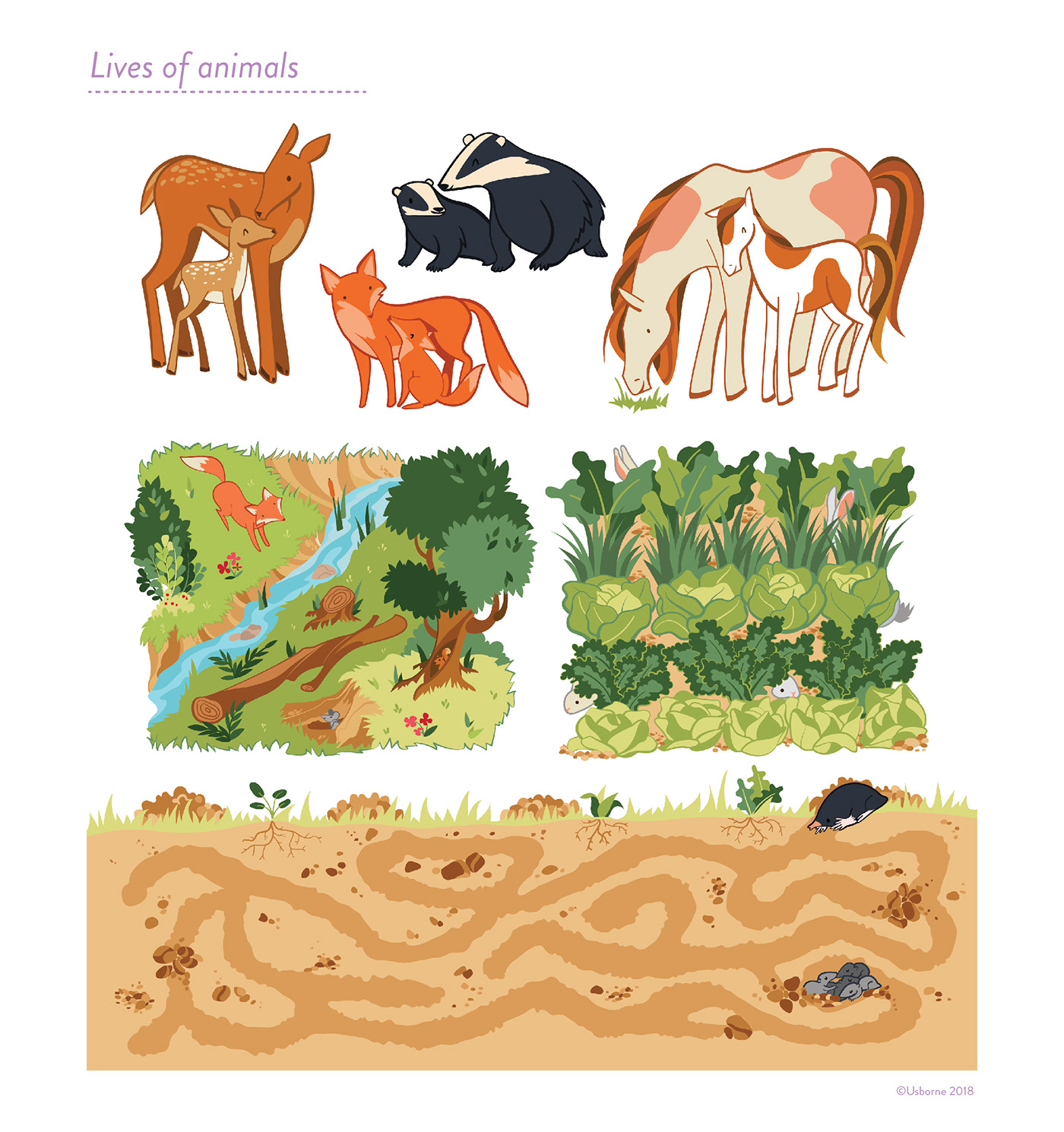 Nature Games activity book illustrazione flat design children illustration usborne animals wood