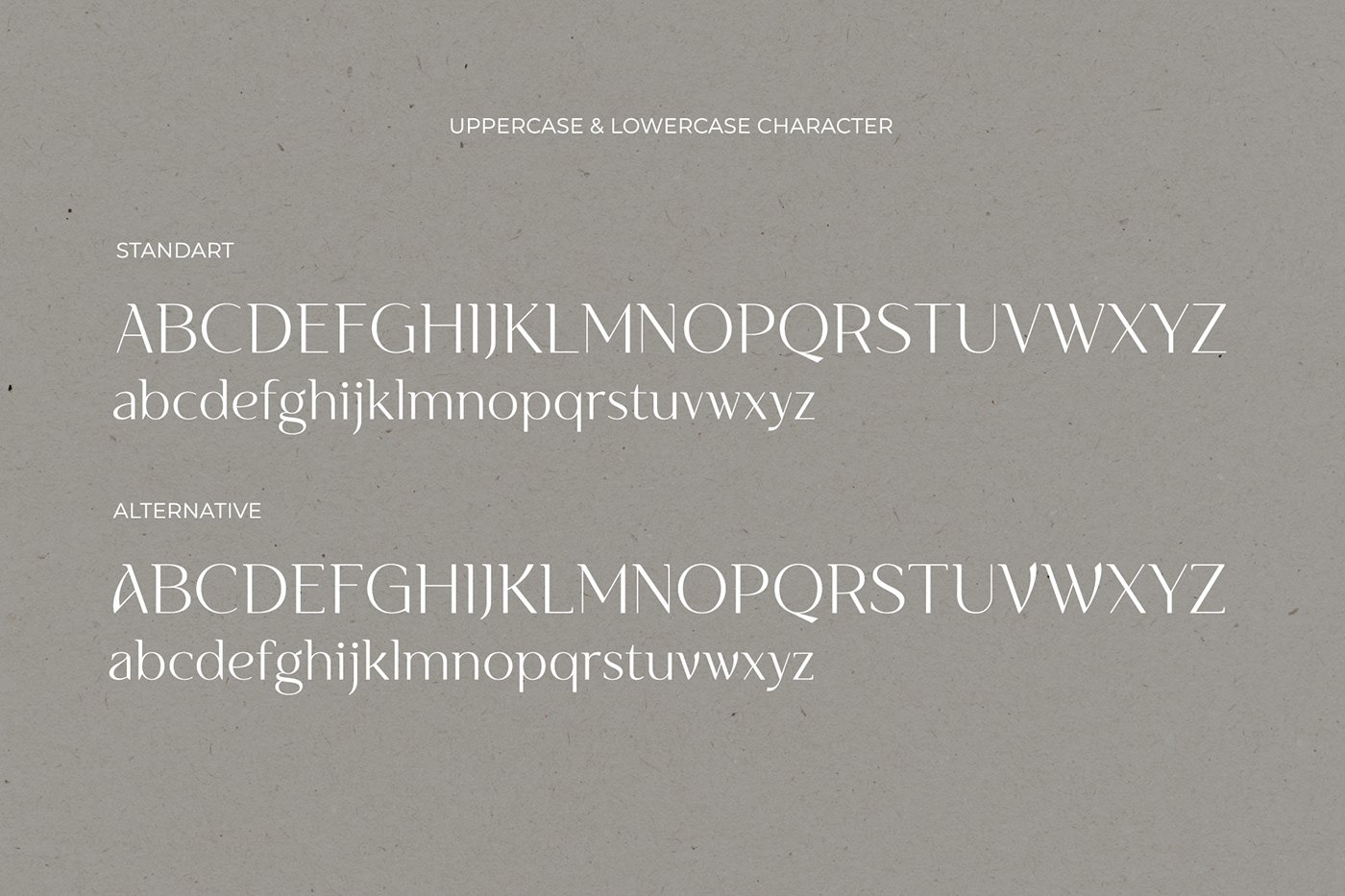 brand branding  Display Fashion  font logo logos Logotype semi serif typography  