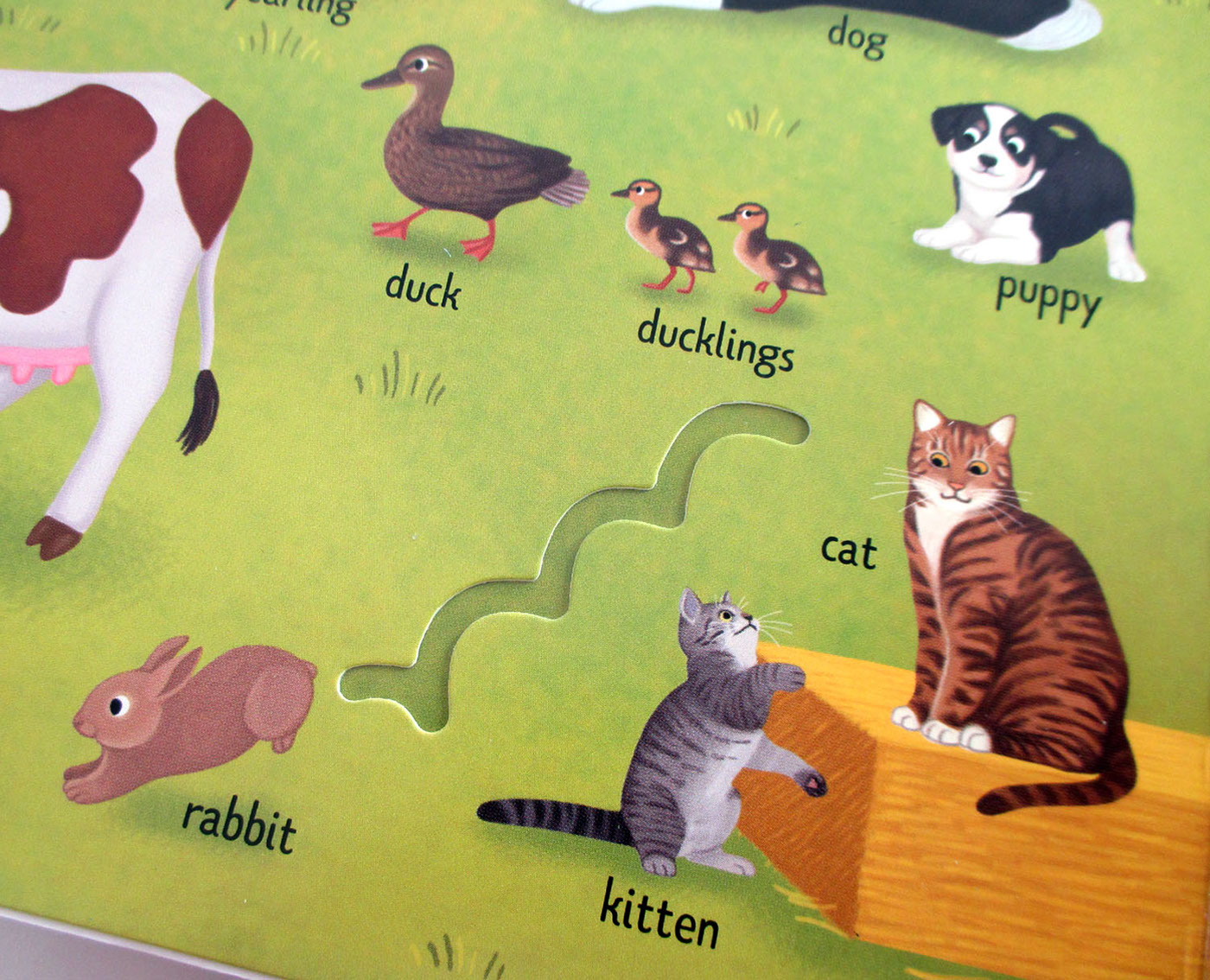 boardbook animals cottage door press ILLUSTRATION  children illustration children book wild animals