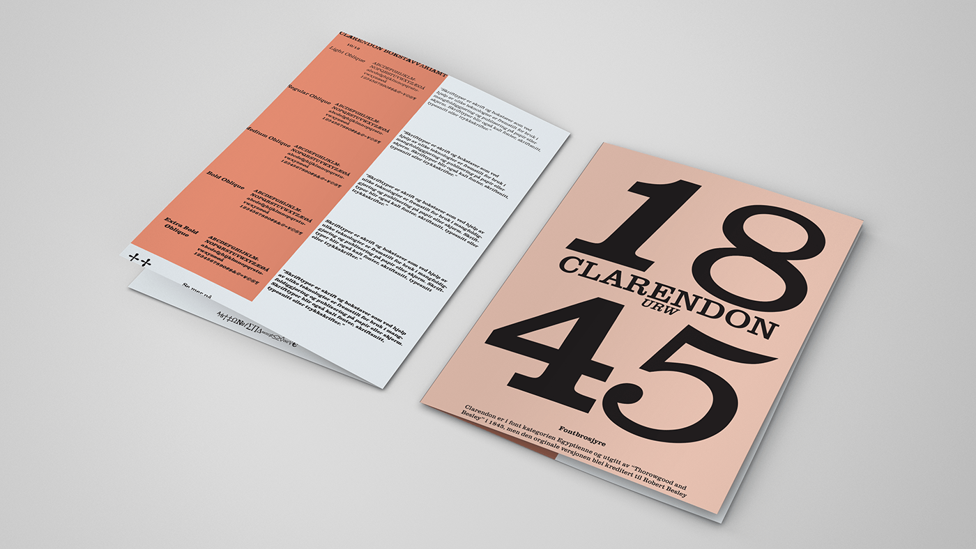 book brochure brochure design Clarendon font font design Poster Design posters type typography  