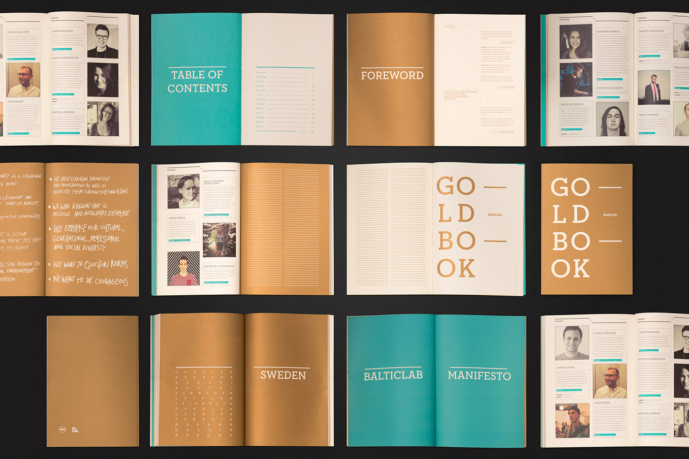 gold Layout cover balticlab biographical note people typography   print Web Design  editorial