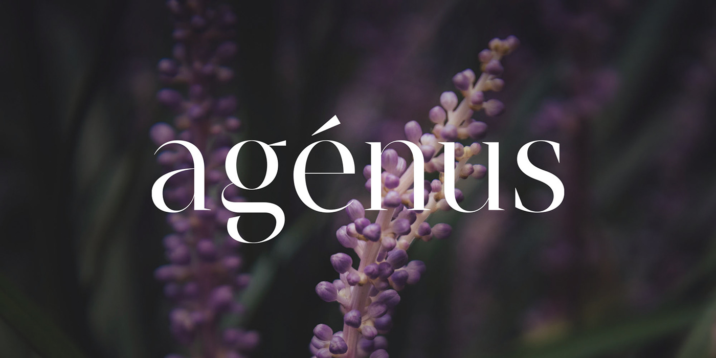 An image showing the preview of the designed logotype for Agenus.