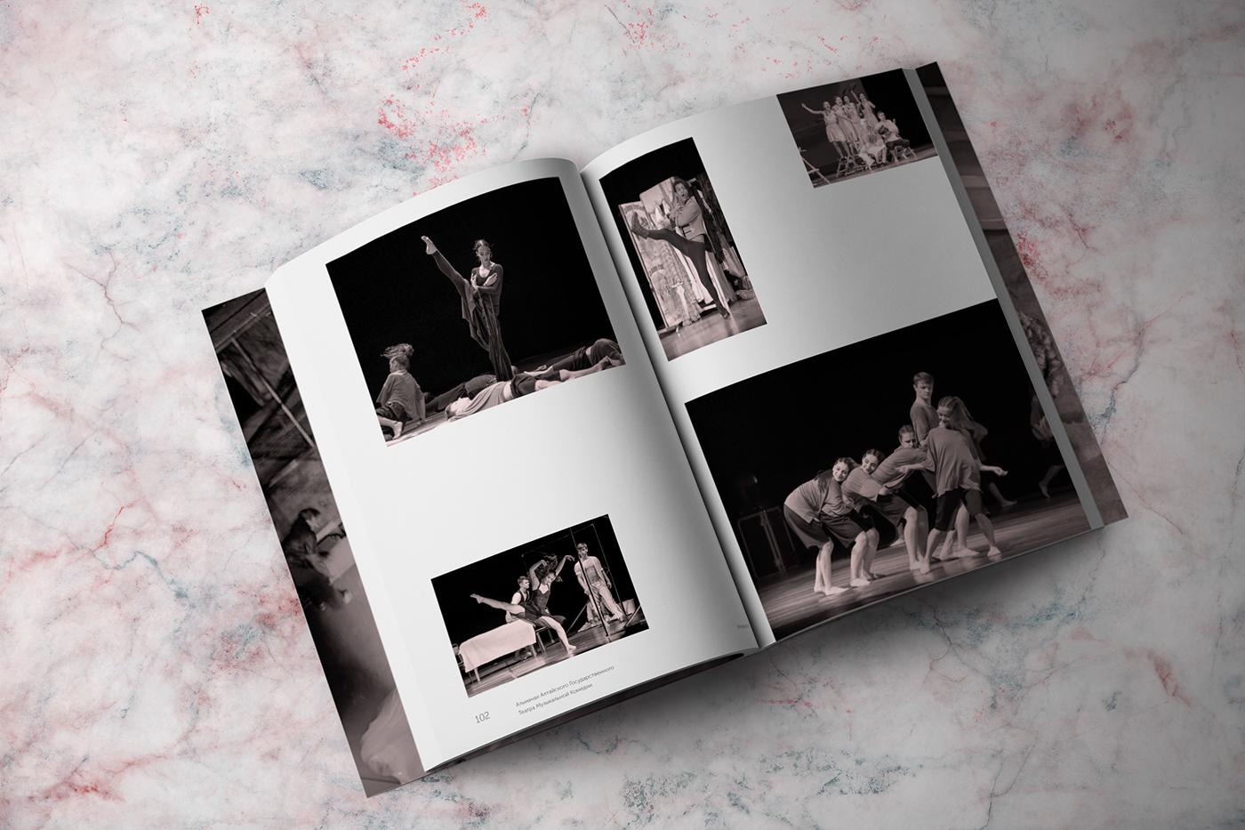 #magazine #book #Theater #pink #photo #typography #diploma  #books  #almanac #music