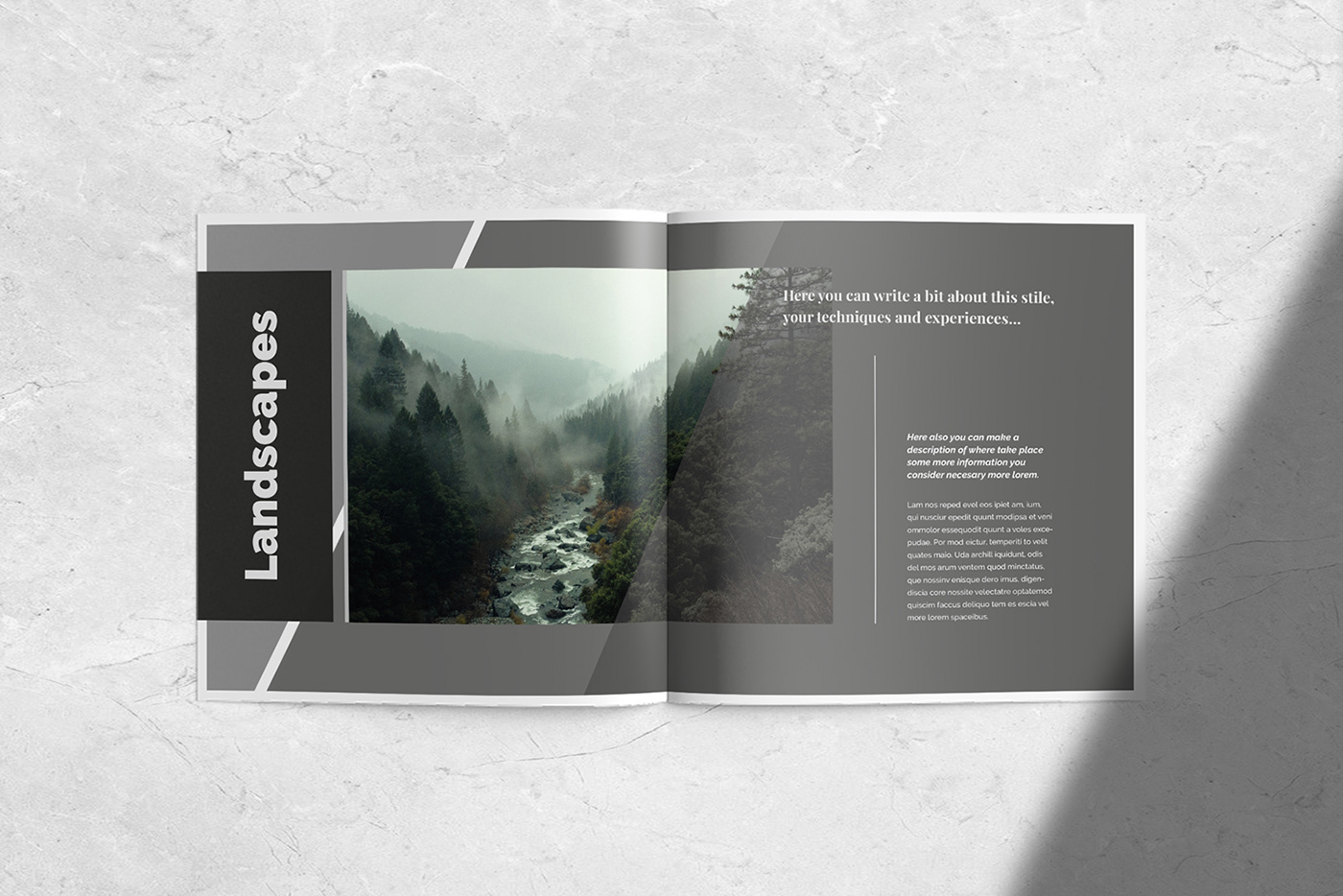 Porfolio InDesign template editorial Photography  print digital brochure magazine Fashion 