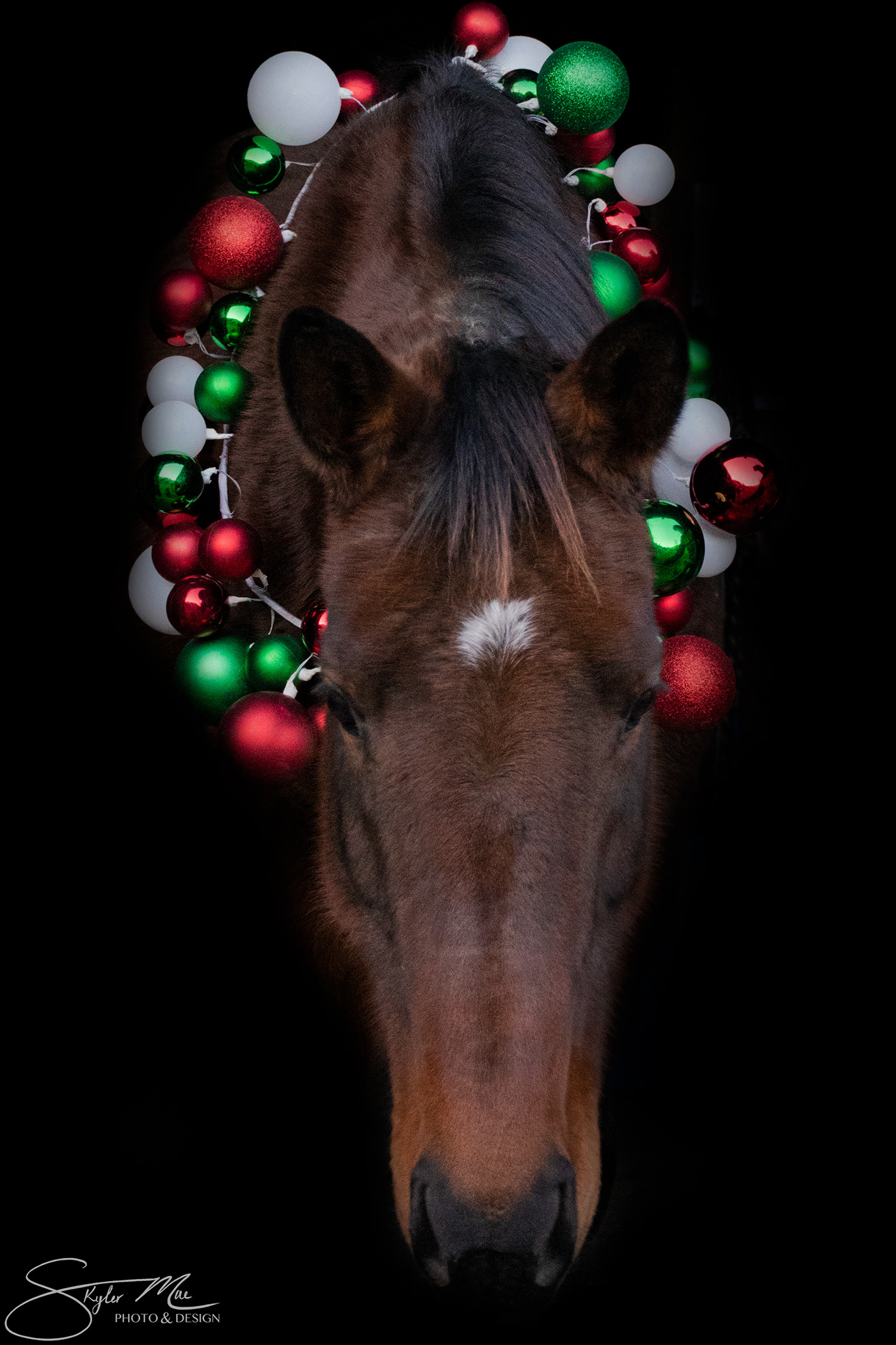 Christmas equine photography Holiday horse Nature ornament Photography  winter