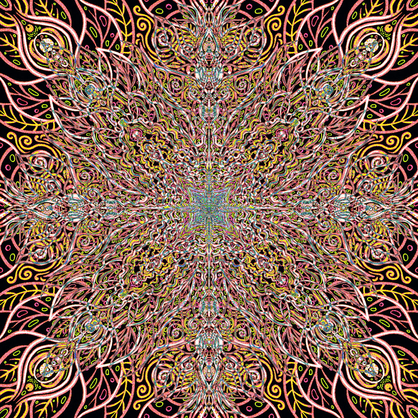 ILLUSTRATION  Digital Art  Mandala