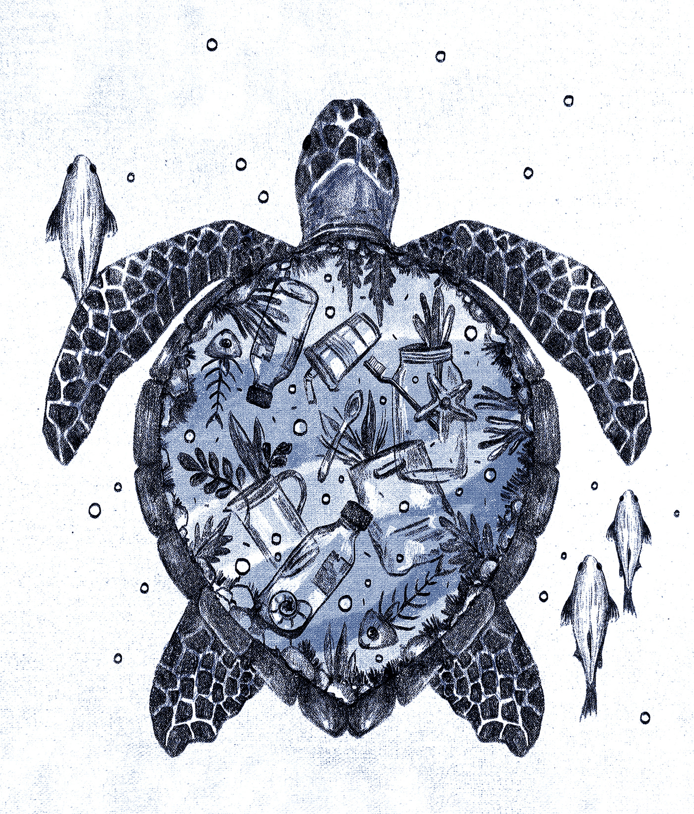 endangered wildlife Turtle NATGEO animal conservation tiger art Digital Art  digital illustration Drawing 