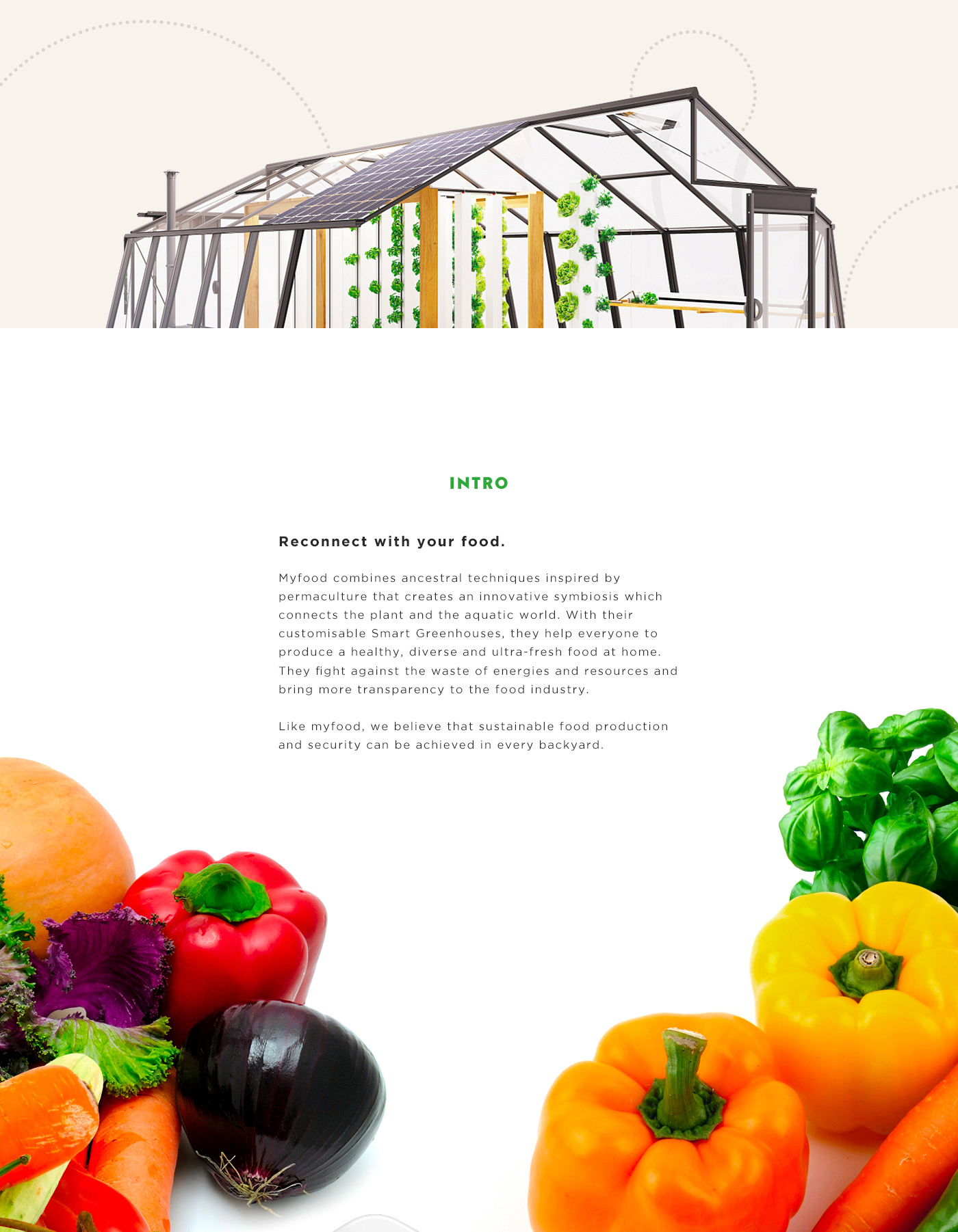 UI ux Website eshop Ecommerce green vegetables Nature Food  red