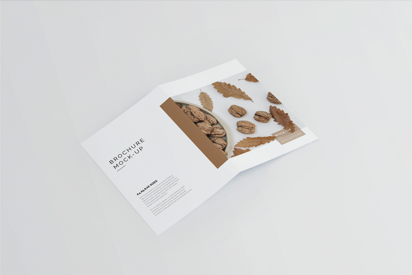 brochure designer editorial Layout marketing   mock up mock-up Mockup mockups print