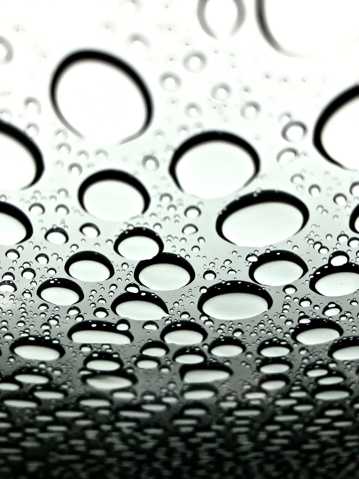 Photography  Nikon rain Window glass water Raindrop macro surface Nature