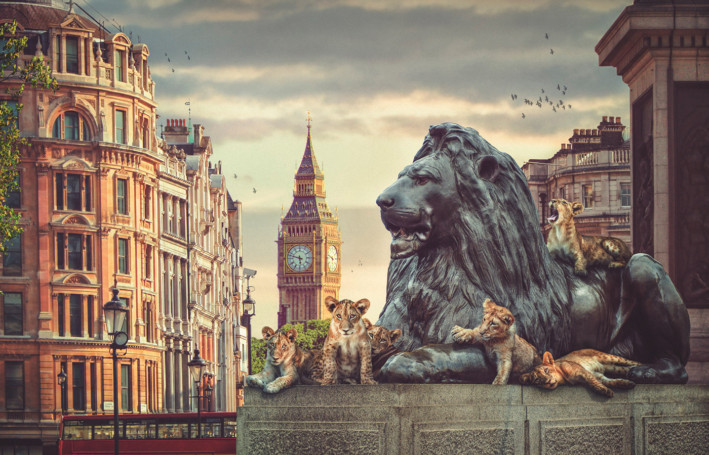 animals city London Lions wild Adobe Photoshop hawk Composite Lee Howell wildlife