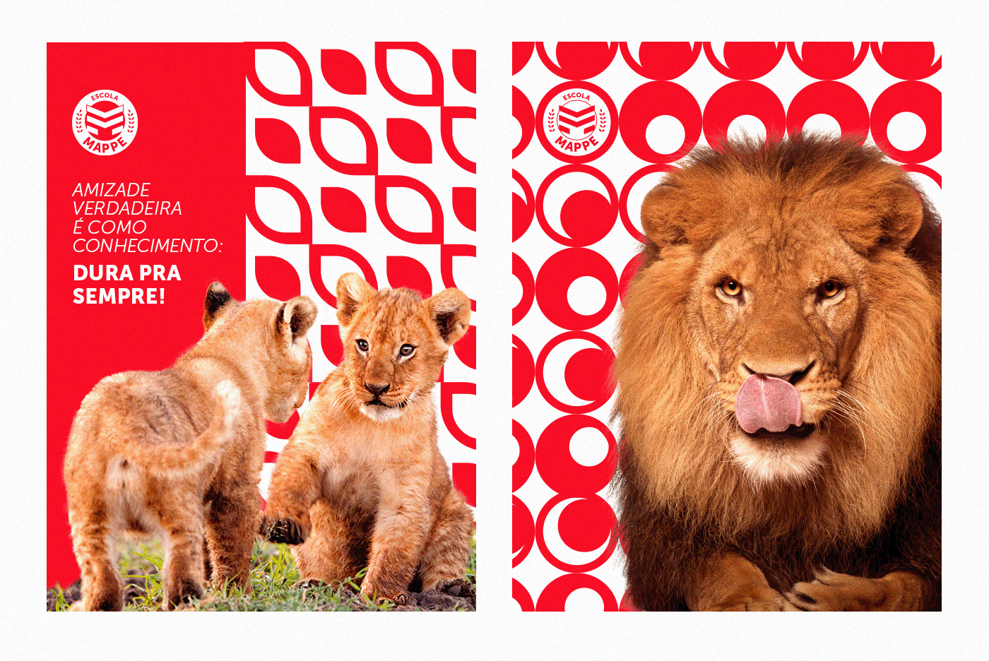 brand branding  children college design escola lion logo red school