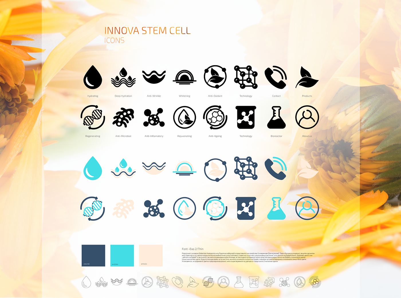 icon design  Website icons graphic design  logo Health stem Cell innova