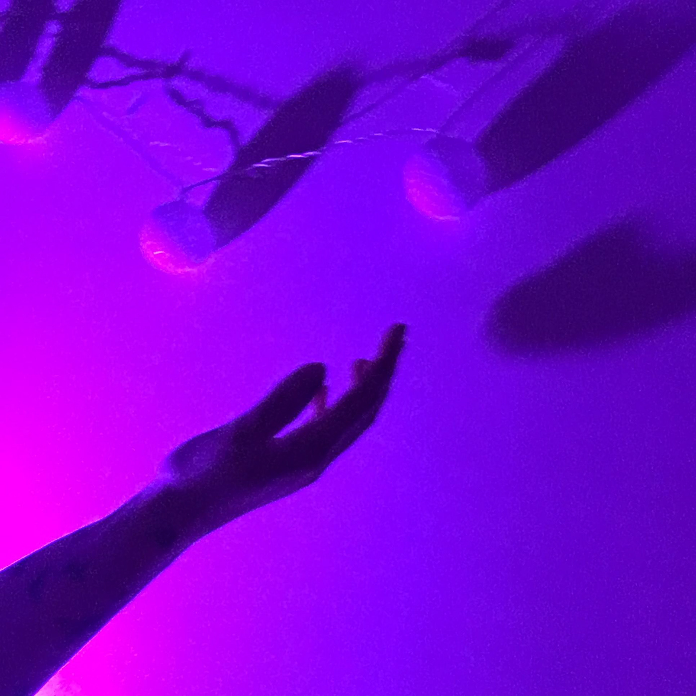 violet Shadows lights