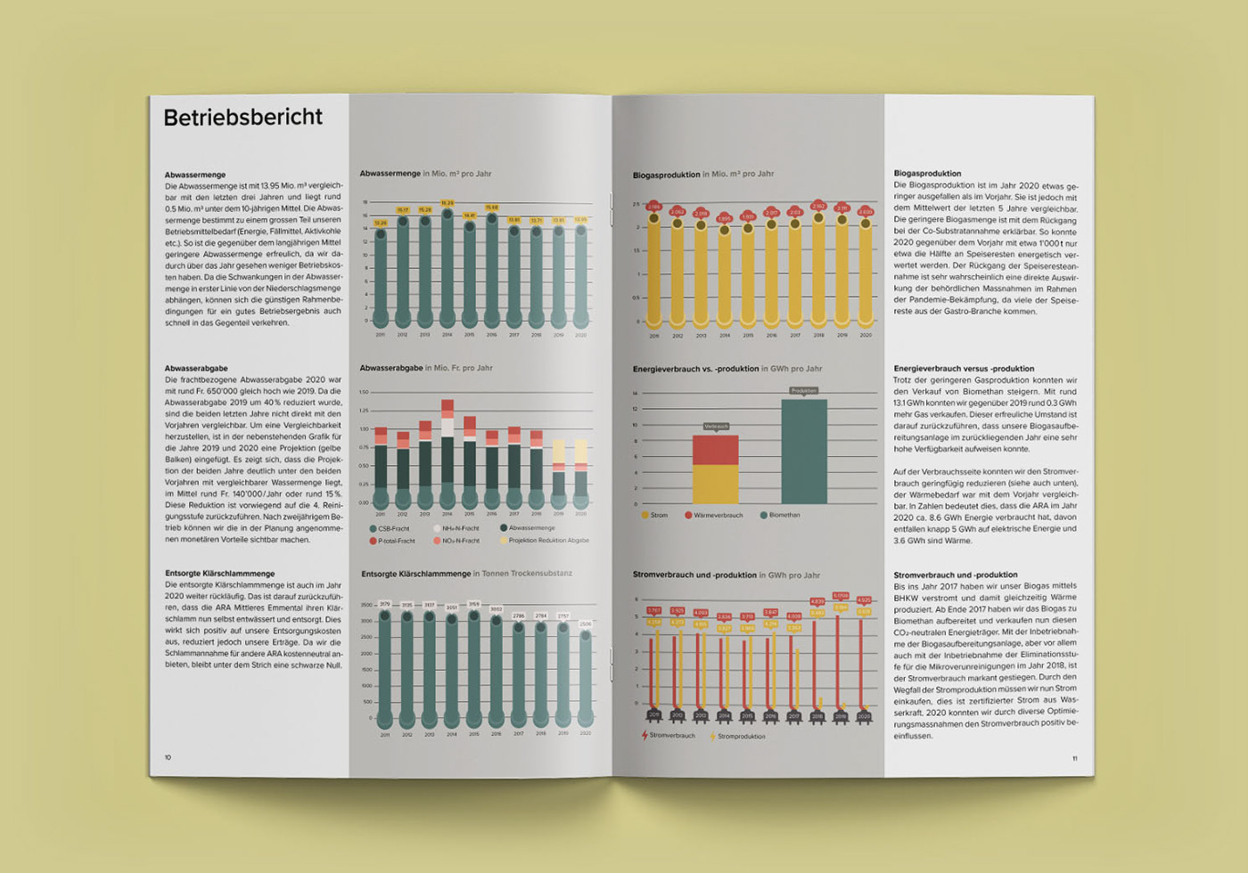 Adobe Portfolio annual report Nature panorama pollution series water editorial design  Editorial Illustration
