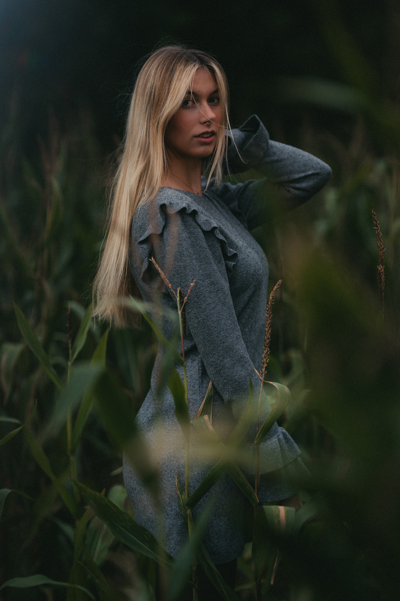 cornfield portrait model beauty photoshoot blonde