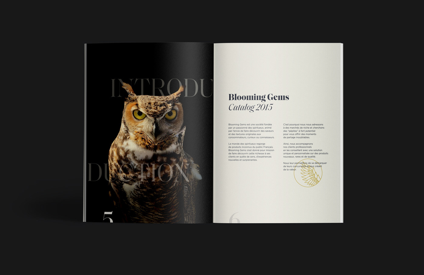 Gems alcohol spirit owl branding  art direction  Logotype Website publishing   poster