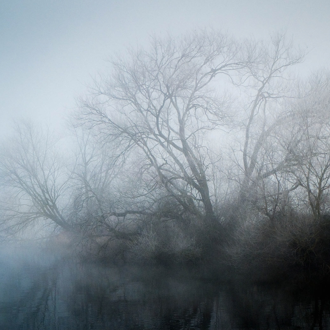 winter frost fog freezing trees river mist atmospheric cold ice