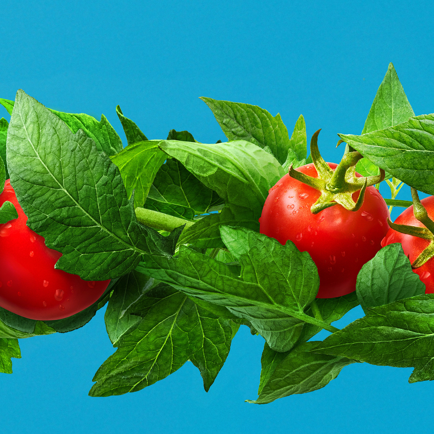 banda billboard food photography Outdoor photographer Photography  retouch Tomato