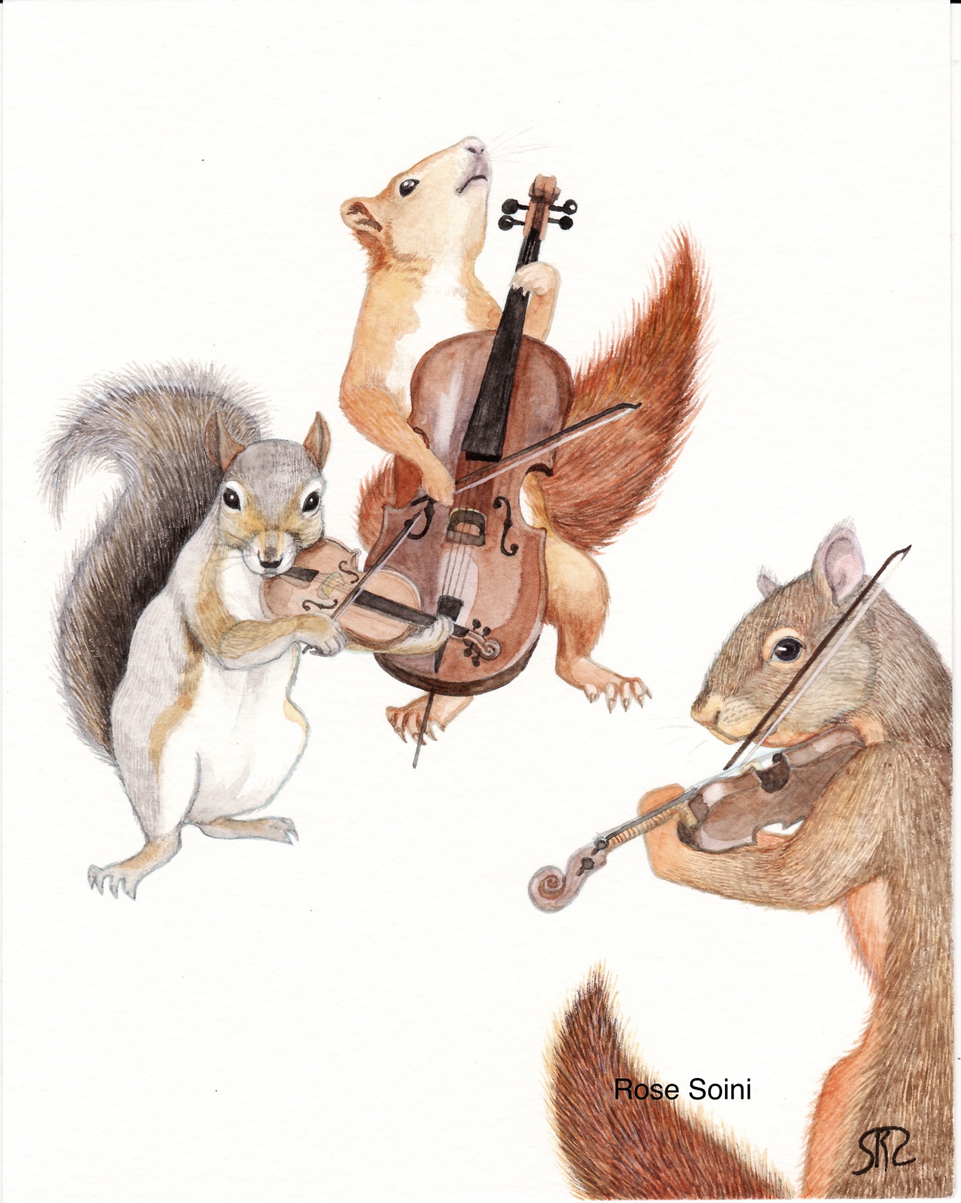 watercolor animals squirrels classical music