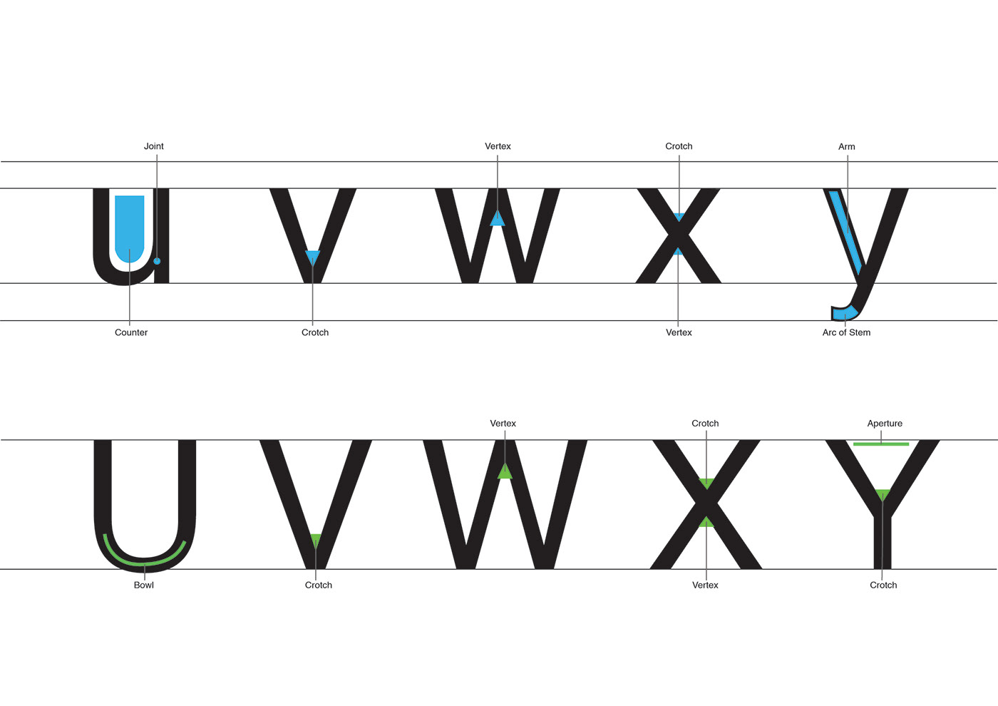 adobe illustrator design font helvetica sans serif type type design Typeface typography   vector