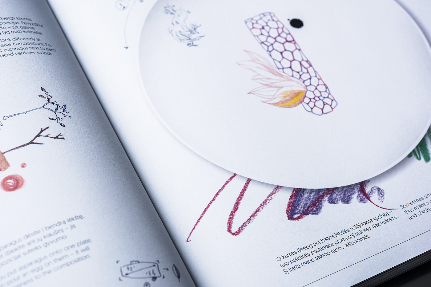 art direction  editorial design  book design Culinary handwriting ILLUSTRATION  graphic design 