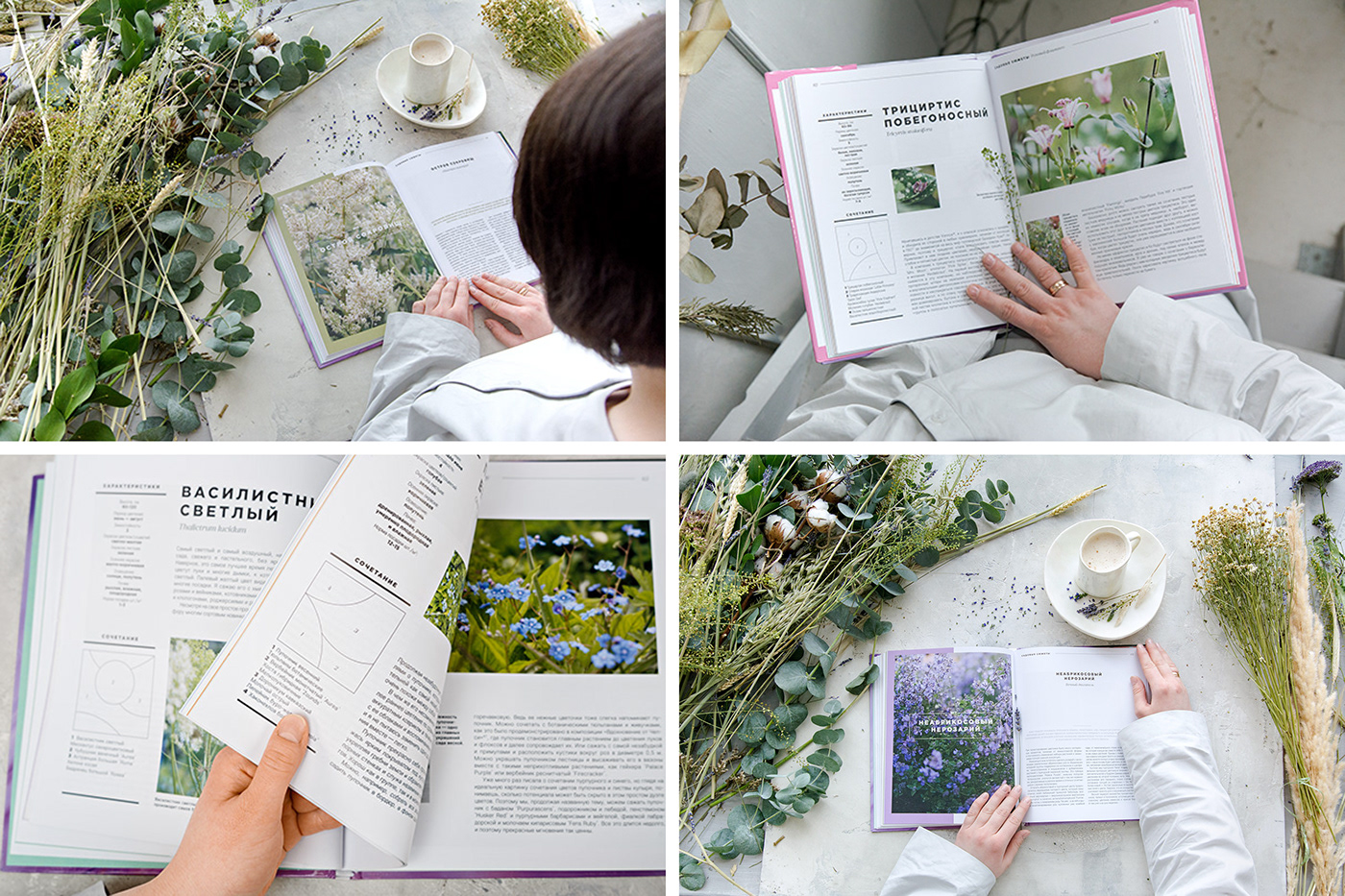 book design Flowers garden Layout photo plants