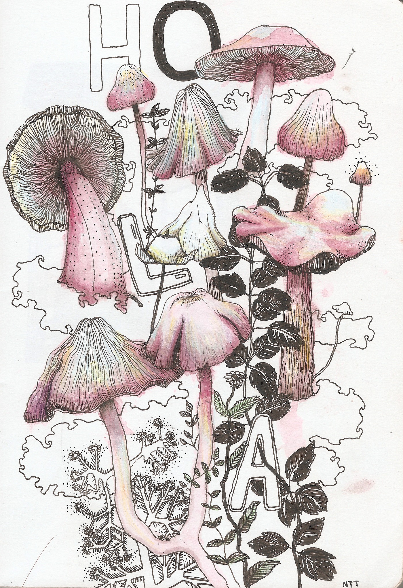 Mushrooms ILLUSTRATION  Drawing  Made With Love