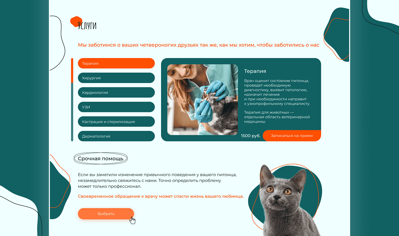 animals Cat clinic design Health Pet site UI/UX veterinary ветеринарная клиника