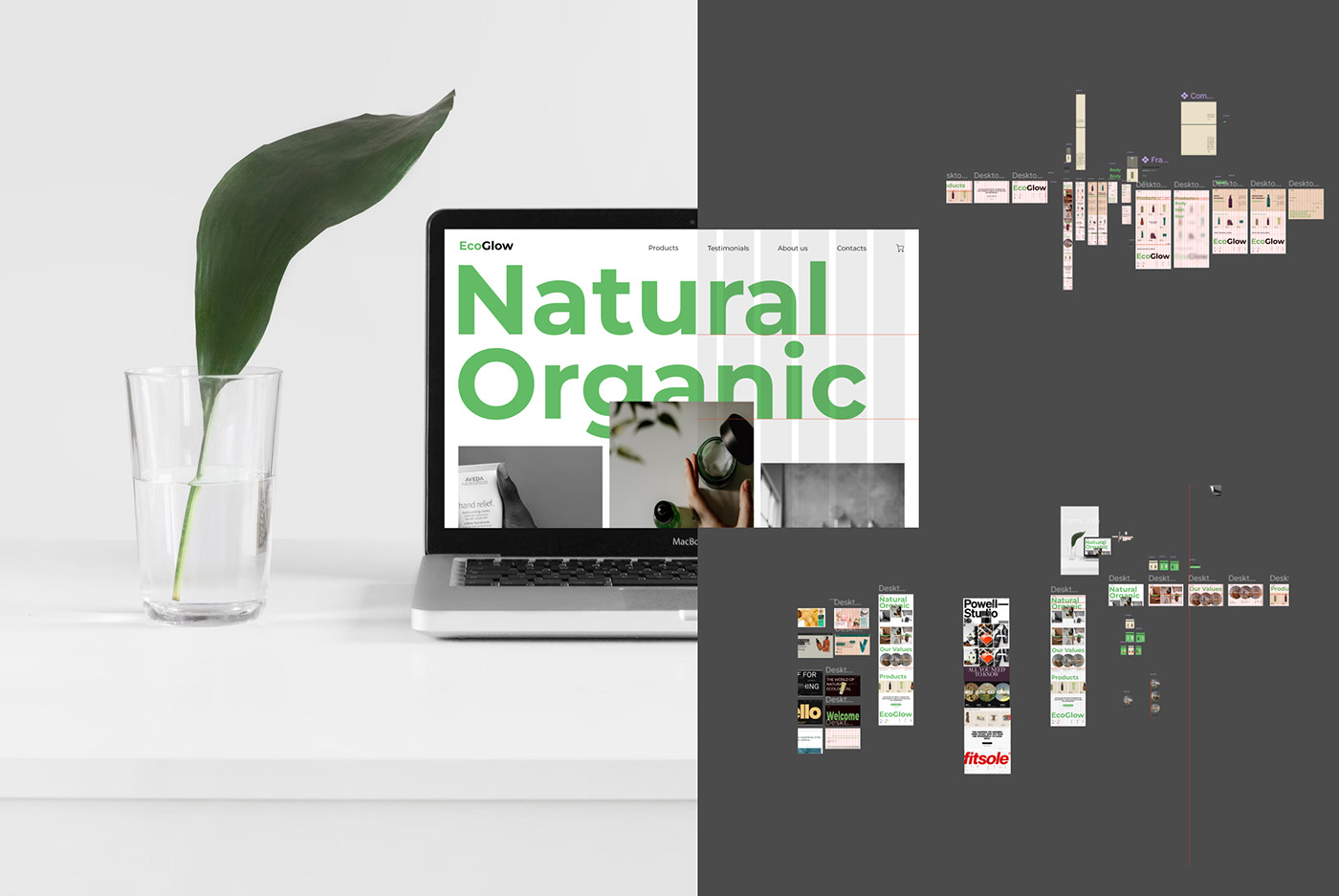 Figma UI/UX Web Design  Website e-Commerce website online store Ecology Nature beauty woman