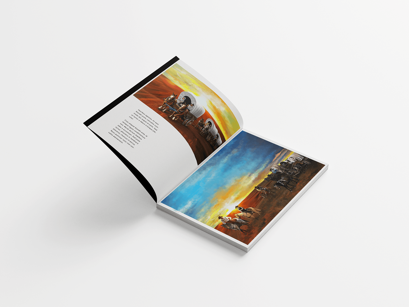 book design book