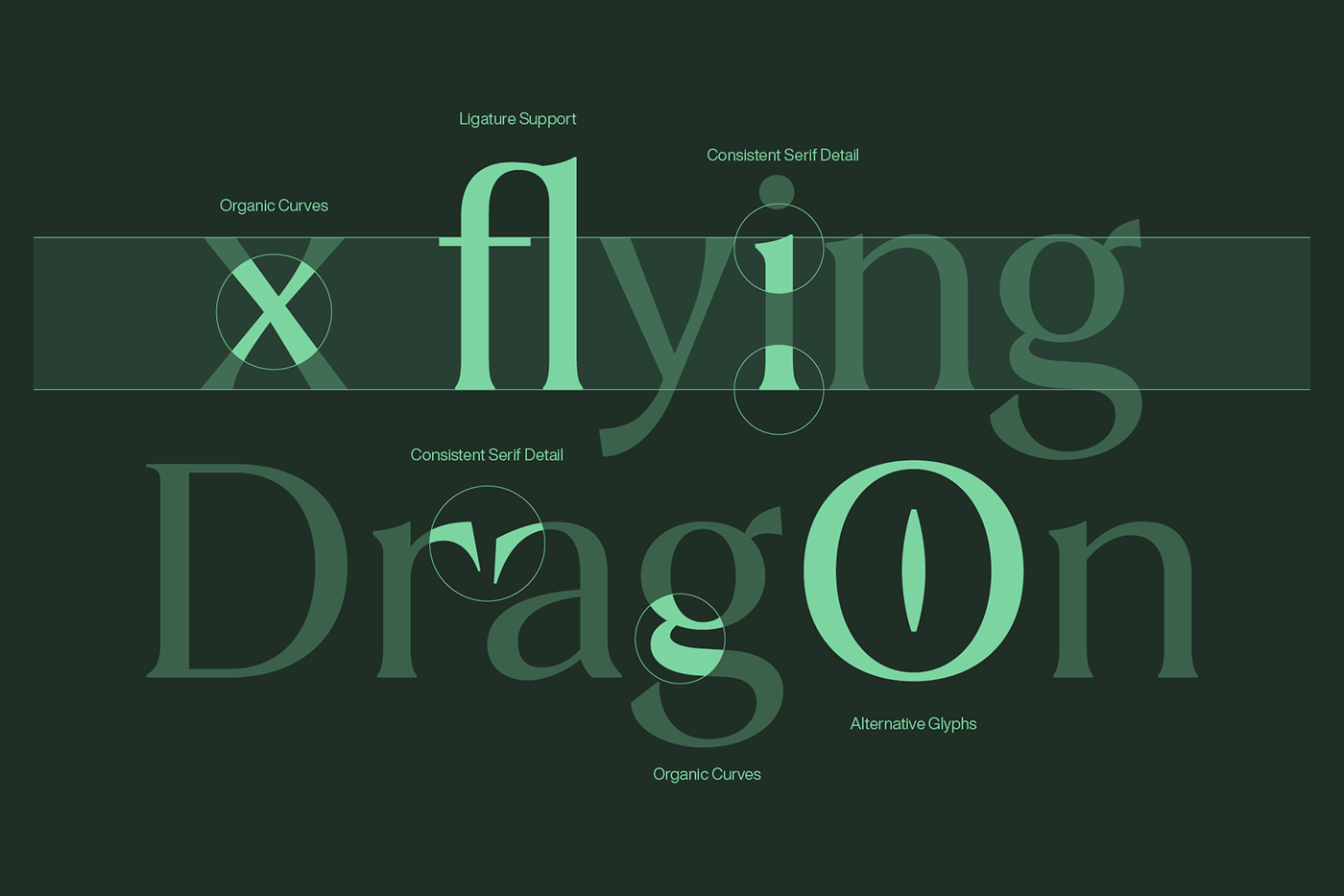 design Display font graphic design  Typeface typography  