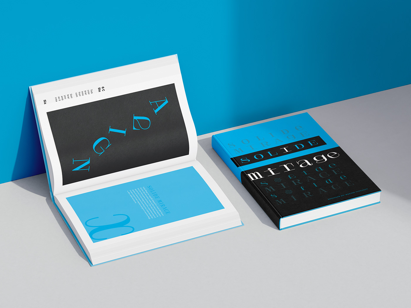 typography design graphic design  Adobe InDesign fonts type design typebook