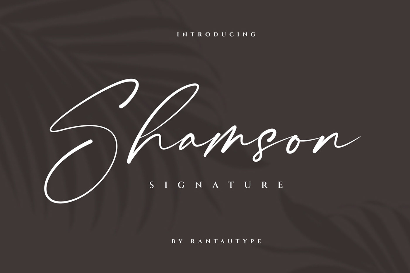 branding  Cosmetic elegant Fashion  font logo luxury modern siganture Typeface