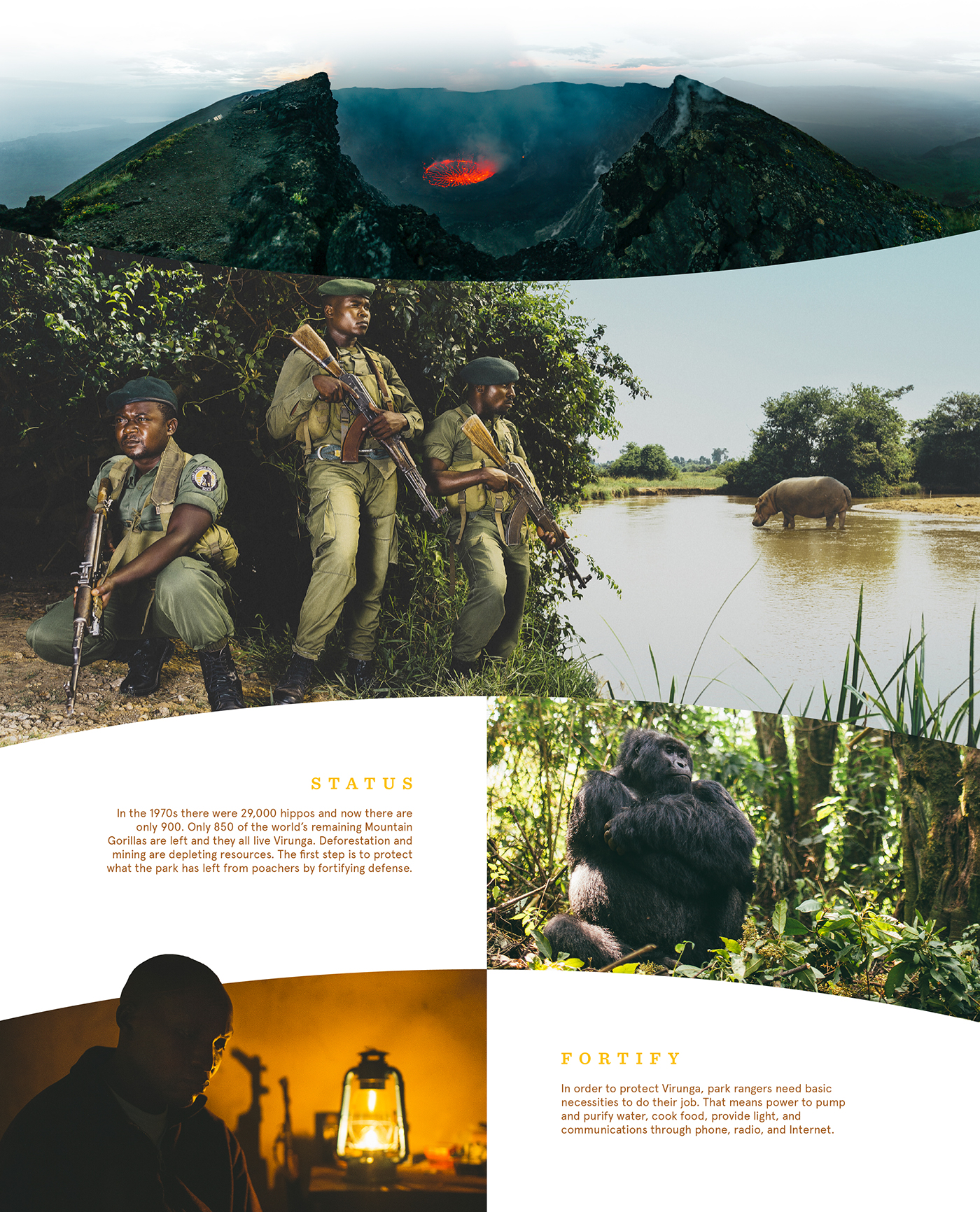 National Park design Photography  videography Park africa Behance ILLUSTRATION  garth pratt