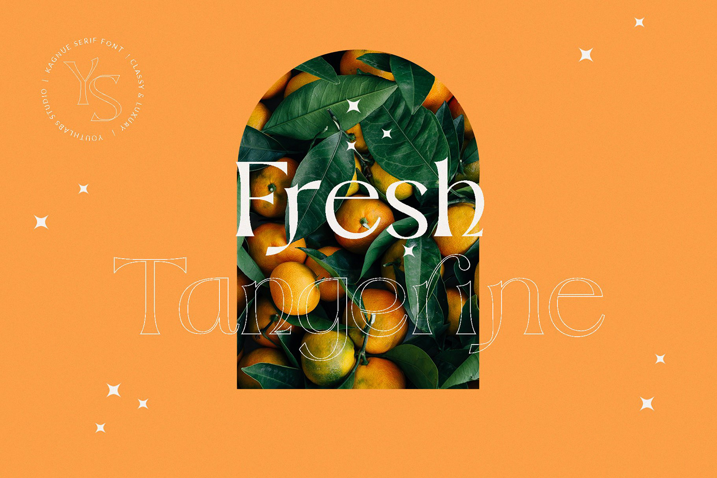 branding  classy decorative free Free font free serif freebie Logo Design modern Modern Serif